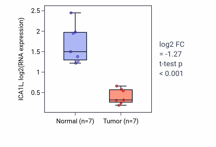 Tumor-vs-normal expression box plot for ICA1L in KICH.
