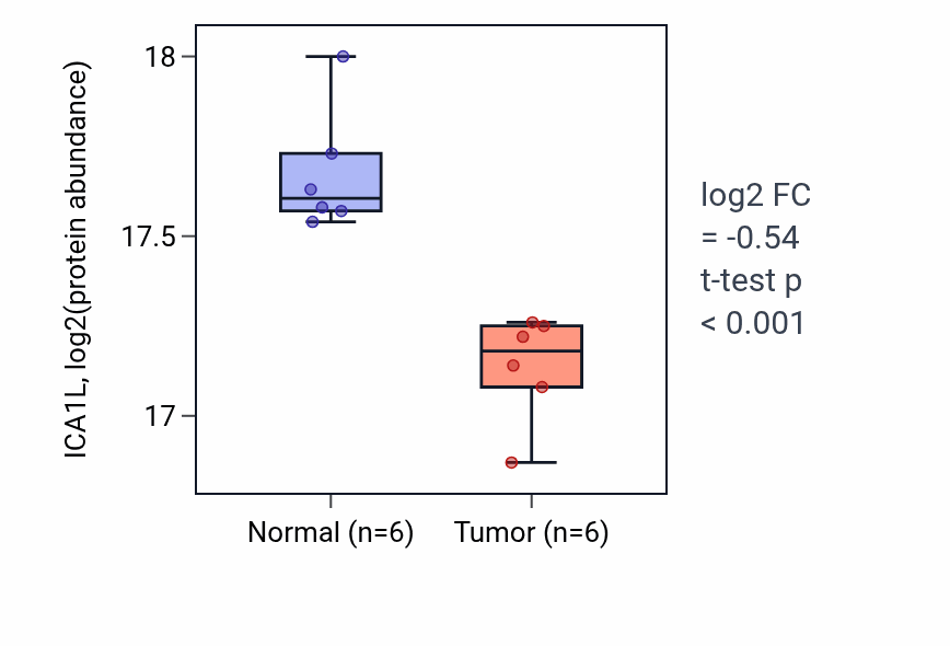 Tumor-vs-normal mass-spec protein box plot for ICA1L in LSCC.