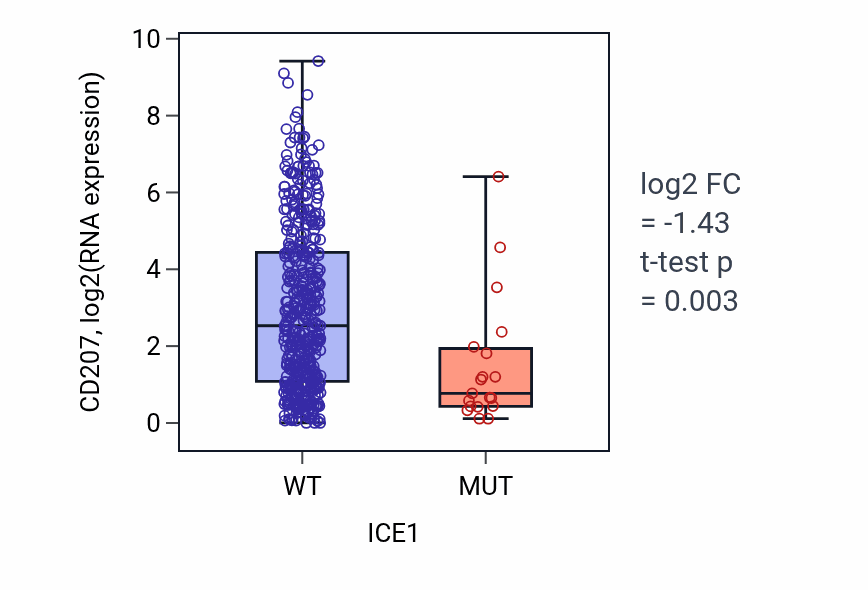 Box plot of CD207 in ICE1-low vs ICE1-high samples in LUAD.