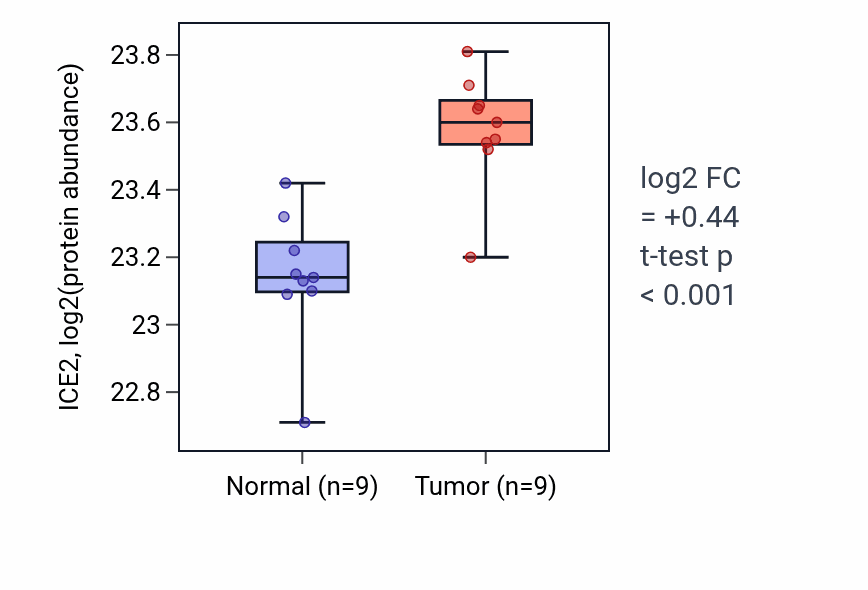 Tumor-vs-normal mass-spec protein box plot for ICE2 in LSCC.