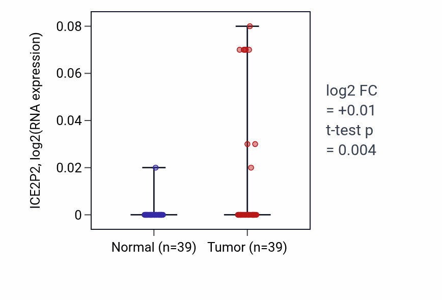 Tumor-vs-normal expression box plot for ICE2P2 in COAD.