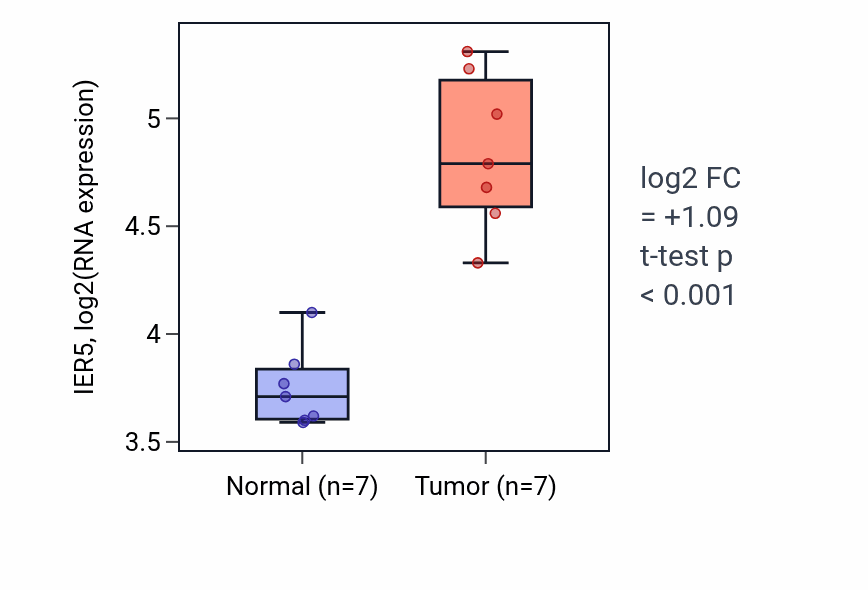 Tumor-vs-normal expression box plot for IER5 in THCA.