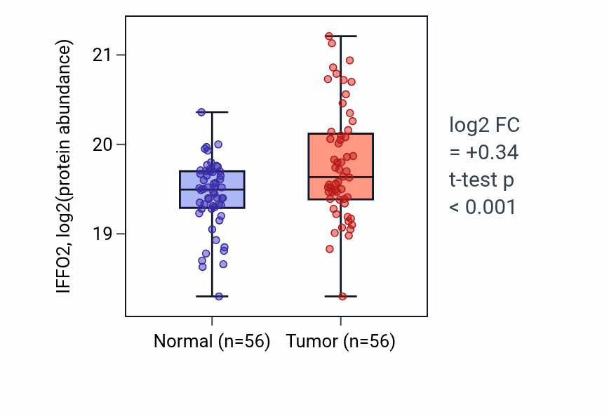 Tumor-vs-normal mass-spec protein box plot for IFFO2 in LSCC.