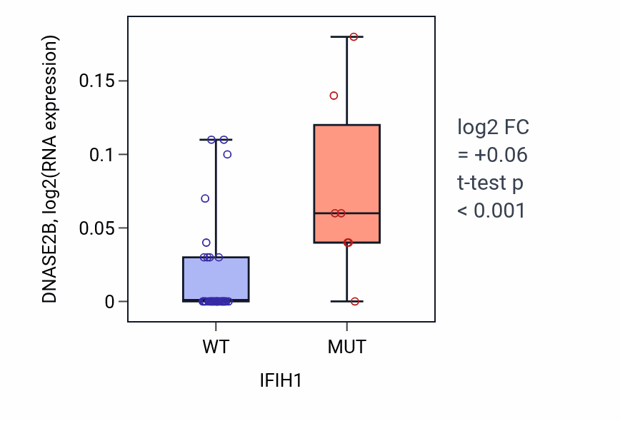 Box plot of DNASE2B in IFIH1-low vs IFIH1-high samples in STOMACH.