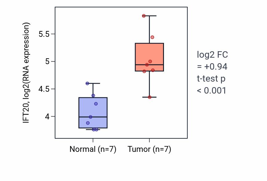 Tumor-vs-normal expression box plot for IFT20 in BLCA.