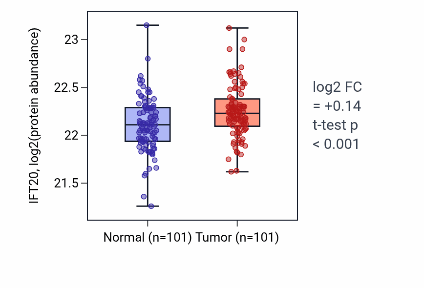 Tumor-vs-normal mass-spec protein box plot for IFT20 in LUAD.