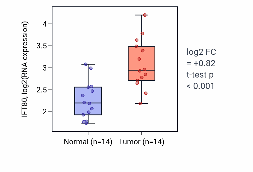Tumor-vs-normal expression box plot for IFT80 in BLCA.