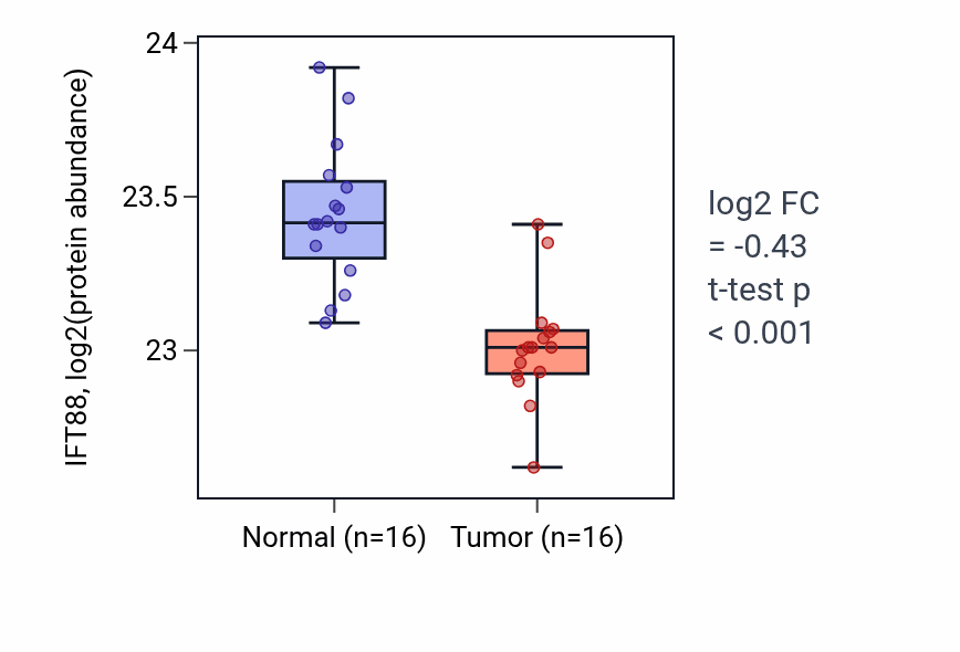 Tumor-vs-normal mass-spec protein box plot for IFT88 in LUAD.