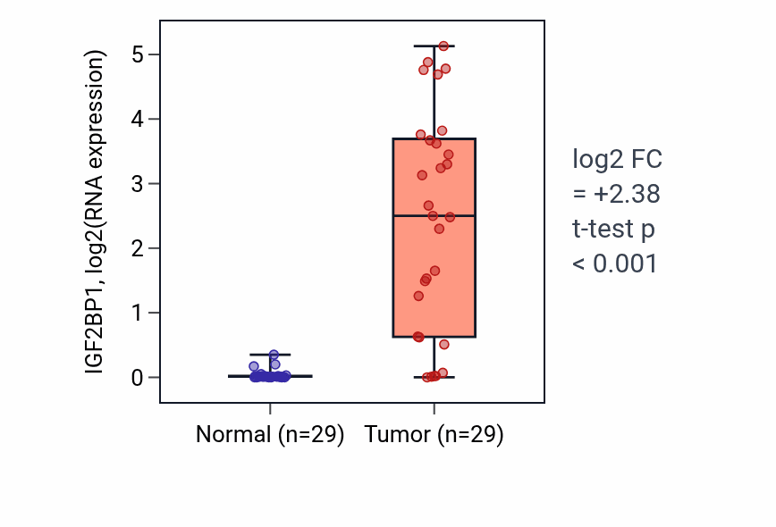 Tumor-vs-normal expression box plot for IGF2BP1 in HNSC.