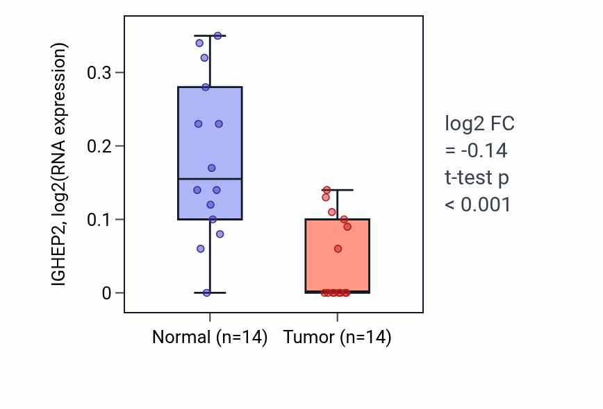 Tumor-vs-normal expression box plot for IGHEP2 in THCA.