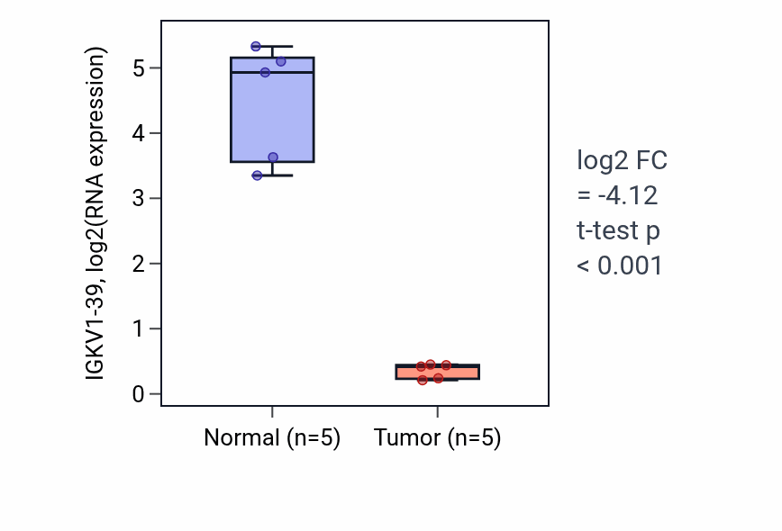 Tumor-vs-normal expression box plot for IGKV1-39 RNA in COAD.
