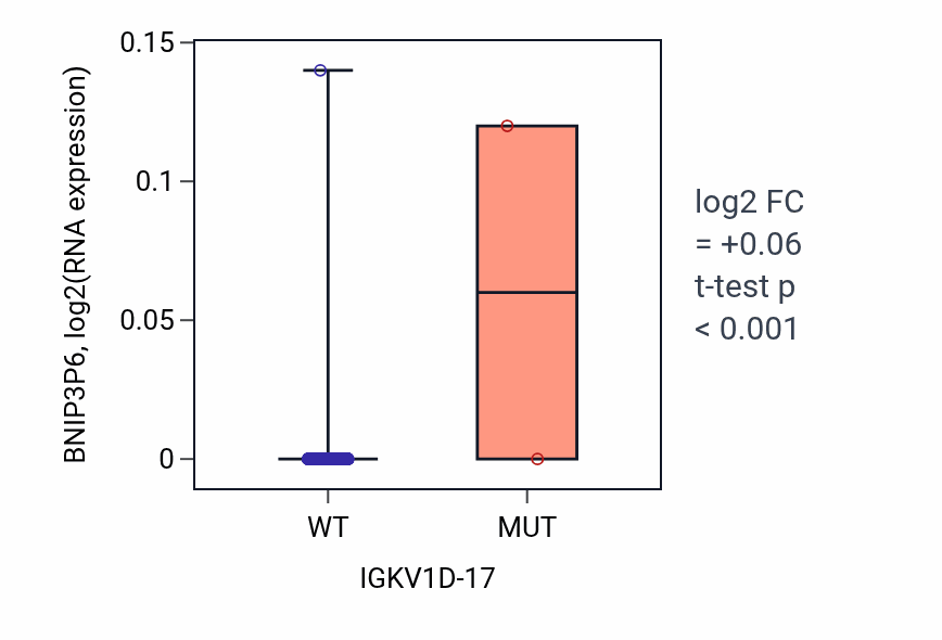Box plot of BNIP3P6 in IGKV1D-17-low vs IGKV1D-17-high samples in HNSC.