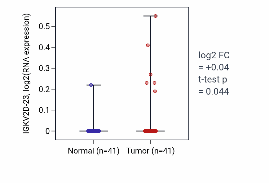 Tumor-vs-normal expression box plot for IGKV2D-23 in THCA.