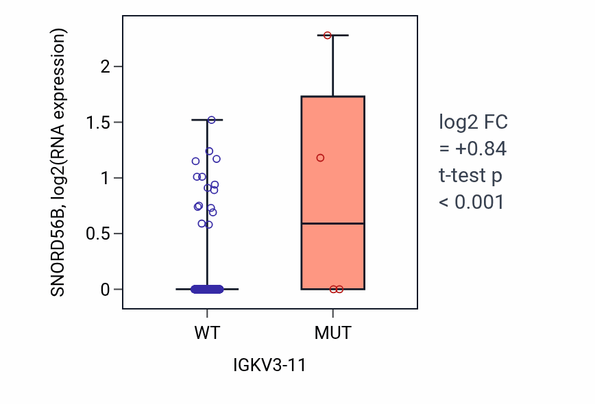 Box plot of SNORD56B in IGKV3-11-low vs IGKV3-11-high samples in HNSC.