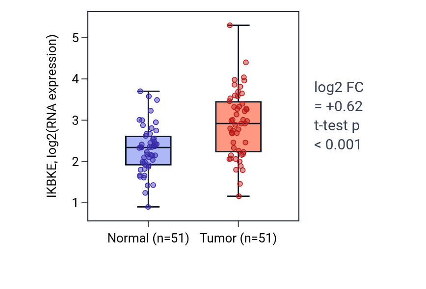 Tumor-vs-normal expression box plot for IKBKE in KIRC.