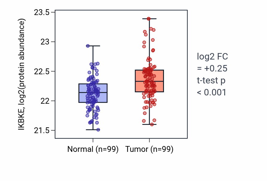 Tumor-vs-normal mass-spec protein box plot for IKBKE in LSCC.