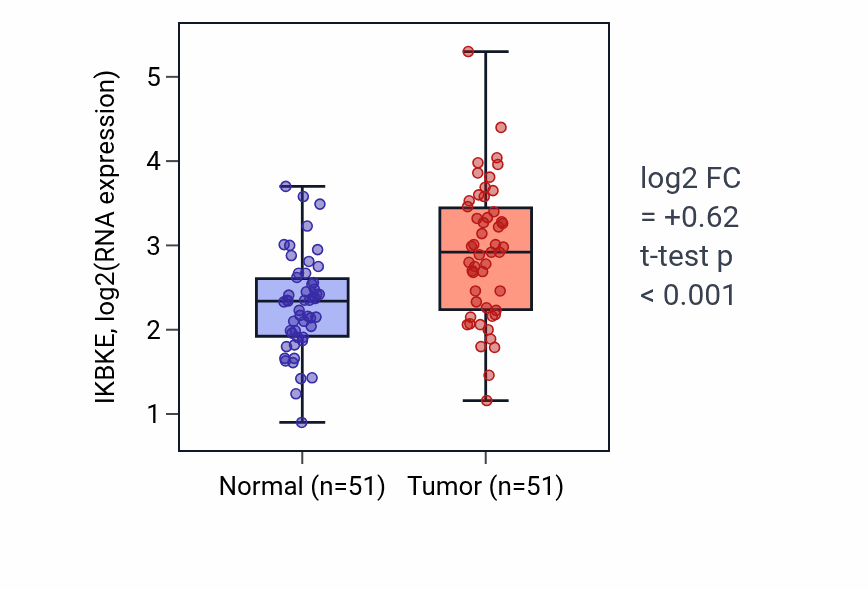 Tumor-vs-normal expression box plot for IKBKE RNA in KIRC.