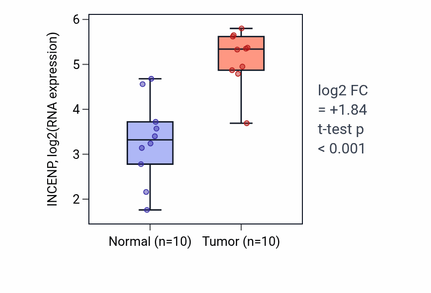 Tumor-vs-normal expression box plot for INCENP in BLCA.