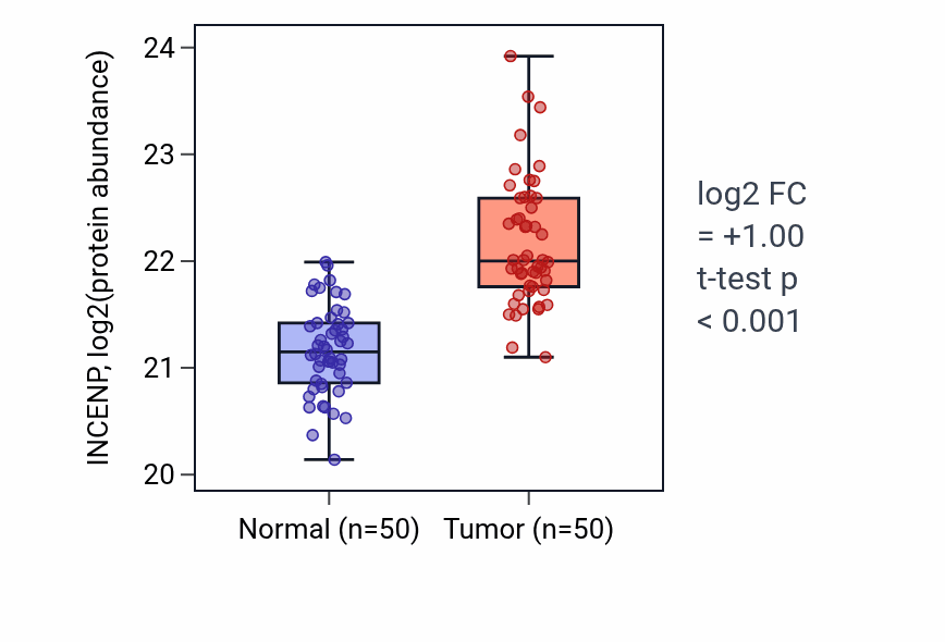 Tumor-vs-normal mass-spec protein box plot for INCENP in LSCC.