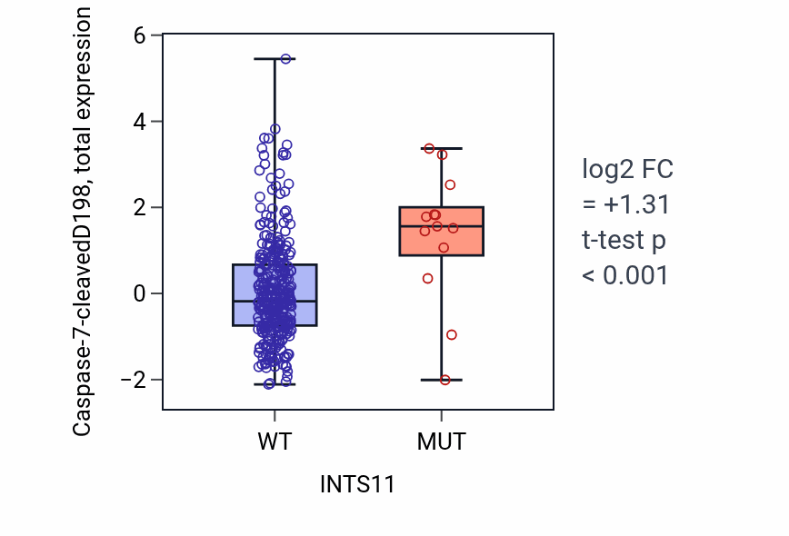 Box plot of Caspase-7-cleavedD198 in INTS11-low vs INTS11-high samples in COAD.