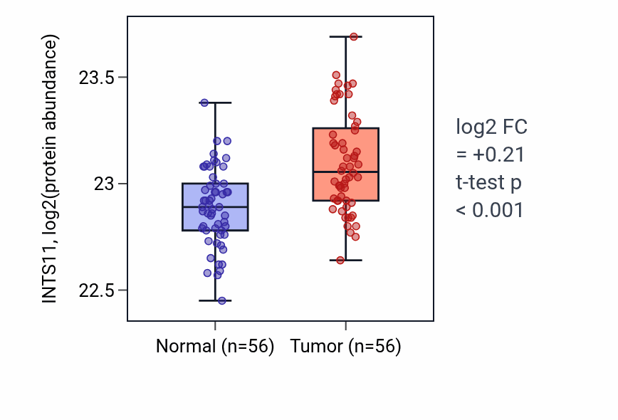 Tumor-vs-normal mass-spec protein box plot for INTS11 in HNSC.