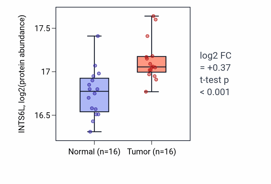 Tumor-vs-normal mass-spec protein box plot for INTS6L in CCRCC.