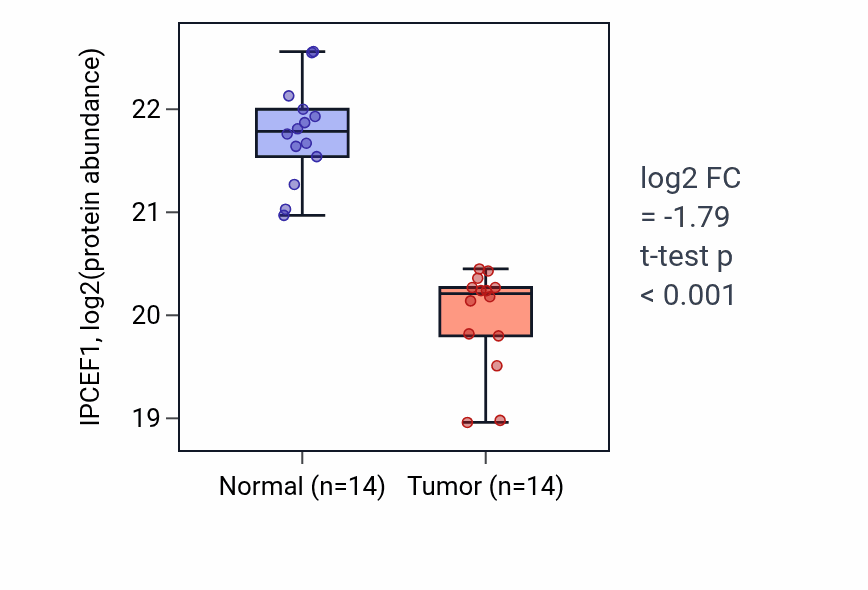 Tumor-vs-normal mass-spec protein box plot for IPCEF1 in LUAD.