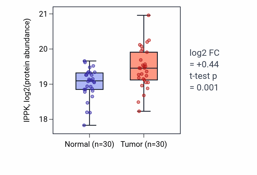 Tumor-vs-normal mass-spec protein box plot for IPPK in HNSC.