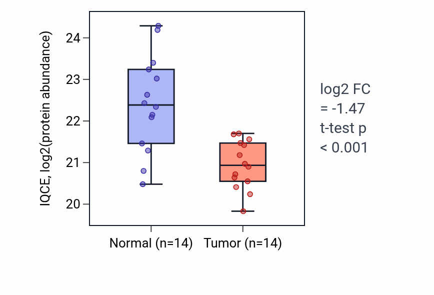 Tumor-vs-normal mass-spec protein box plot for IQCE in HNSC.