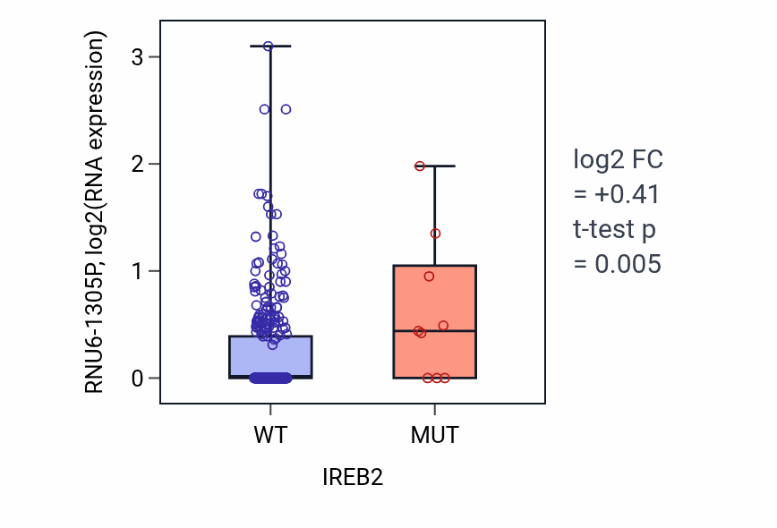 Box plot of RNU6-1305P in IREB2-low vs IREB2-high samples in STAD.