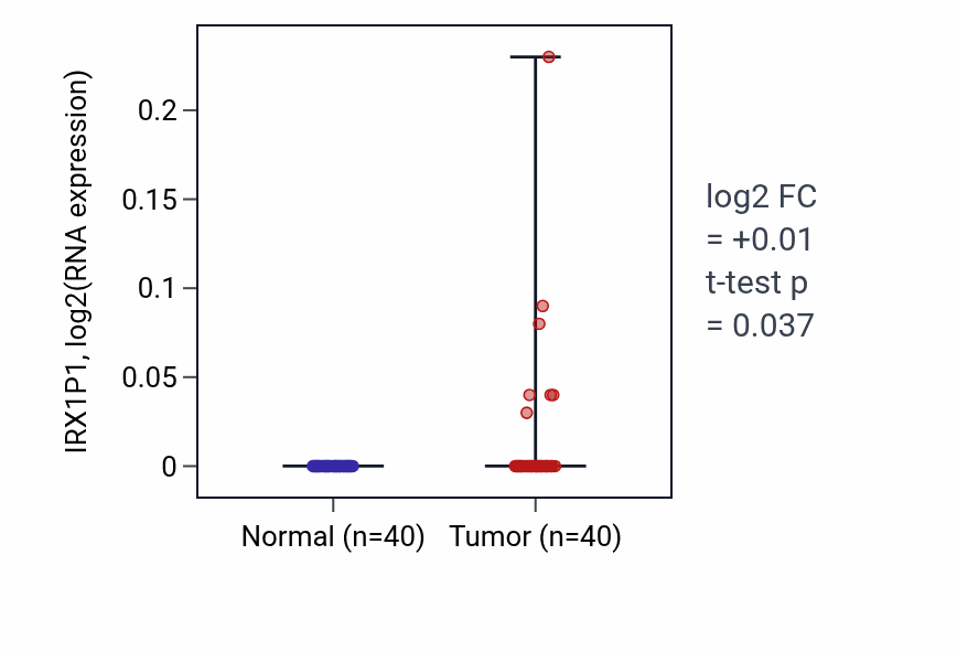 Tumor-vs-normal expression box plot for IRX1P1 in HNSC.
