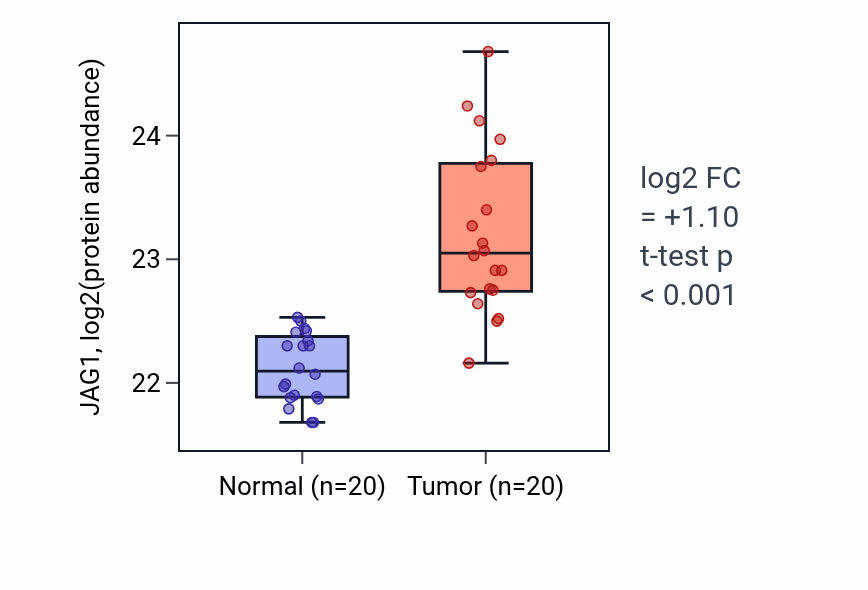 Tumor-vs-normal mass-spec protein box plot for JAG1 in LSCC.