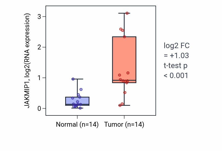 Tumor-vs-normal expression box plot for JAKMIP1 in KIRC.