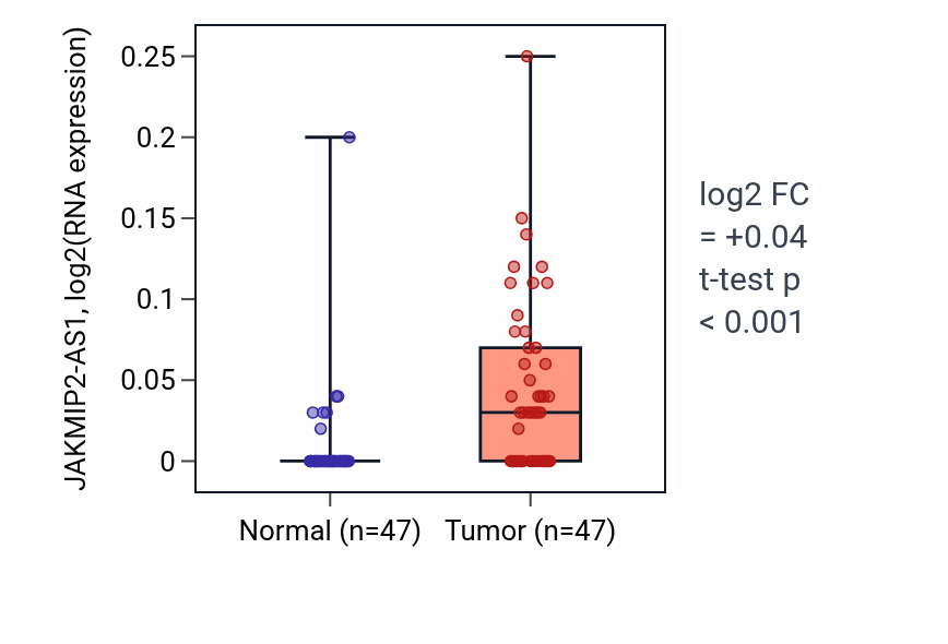 Tumor-vs-normal expression box plot for JAKMIP2-AS1 RNA in KIRC.