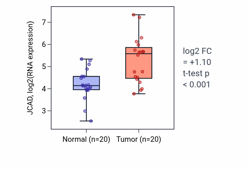 Tumor-vs-normal expression box plot for JCAD in KIRC.