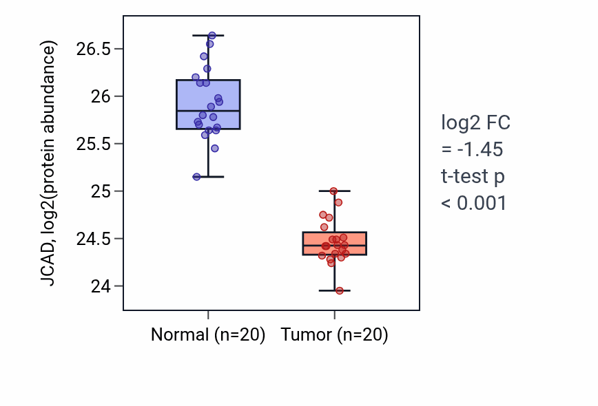 Tumor-vs-normal mass-spec protein box plot for JCAD in LSCC.
