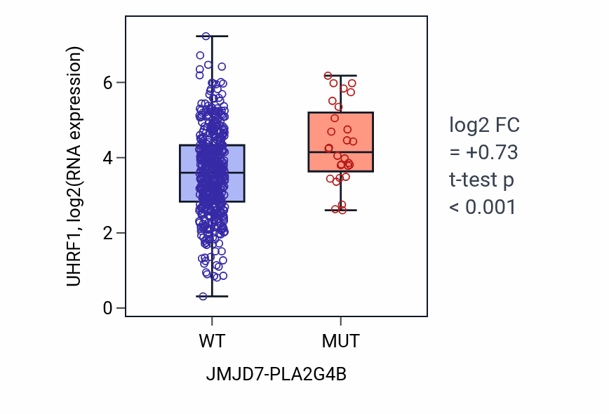 Box plot of UHRF1 in JMJD7-PLA2G4B-low vs JMJD7-PLA2G4B-high samples in UCEC.