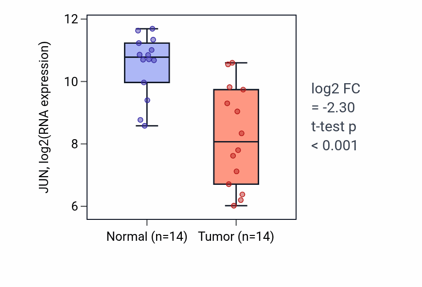 Tumor-vs-normal expression box plot for JUN in THCA.