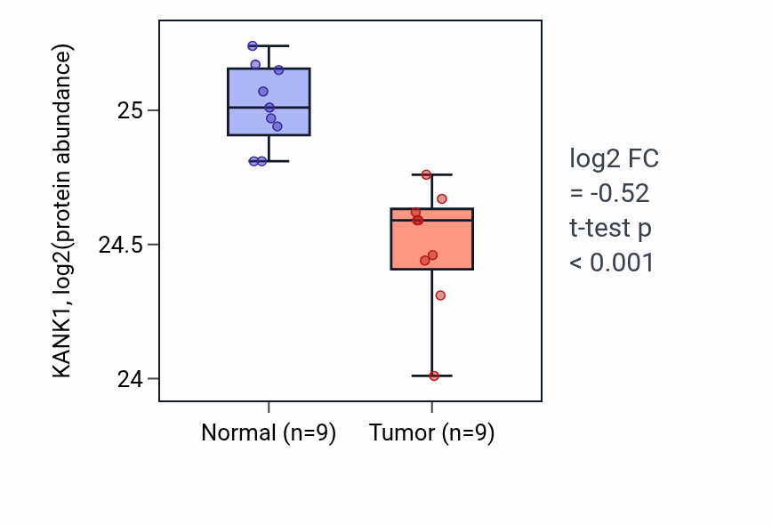 Tumor-vs-normal mass-spec protein box plot for KANK1 in LSCC.