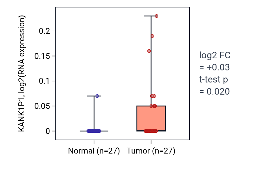 Tumor-vs-normal expression box plot for KANK1P1 in HNSC.