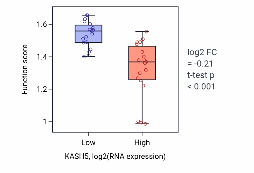 Box plot of Chromosome localization to nuclear envelope involved in homologous chromosome segregation in KASH5-low vs KASH5-high samples in BONE.