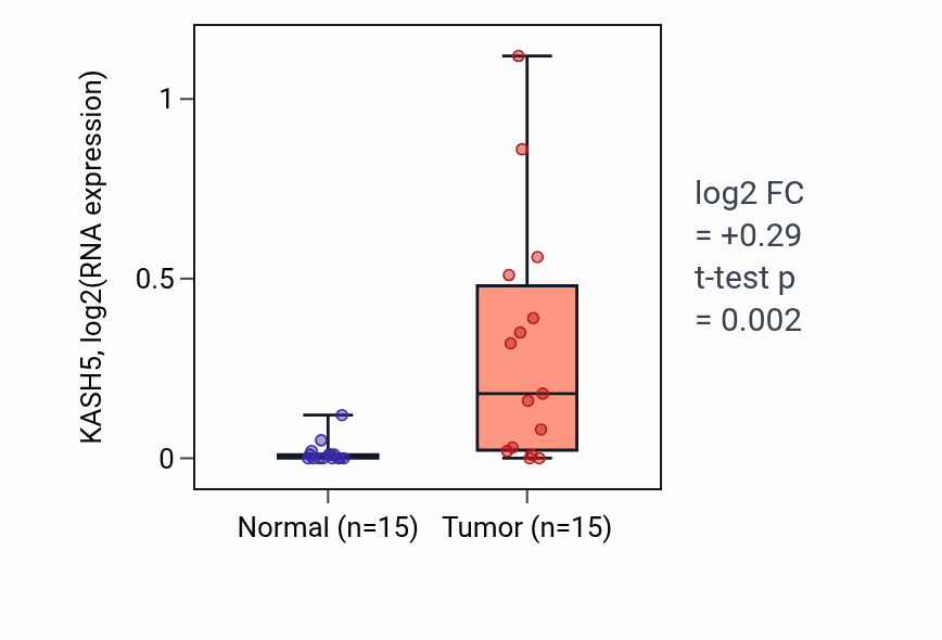 Tumor-vs-normal expression box plot for KASH5 in KIRP.