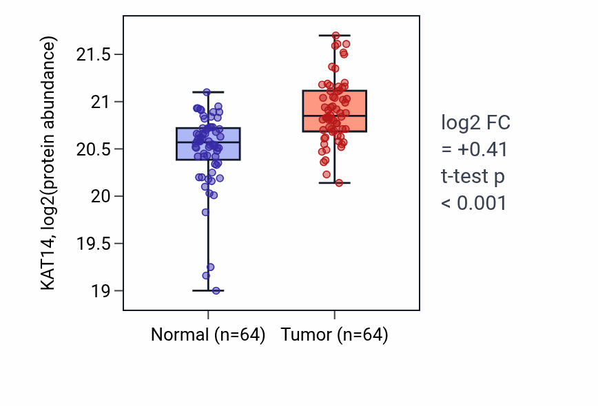 Tumor-vs-normal mass-spec protein box plot for KAT14 in LUAD.