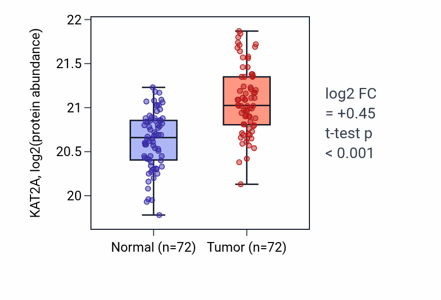Tumor-vs-normal mass-spec protein box plot for KAT2A in LSCC.