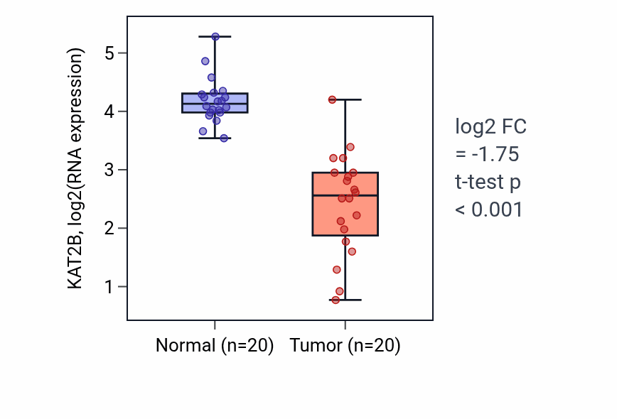 Tumor-vs-normal expression box plot for KAT2B in COAD.
