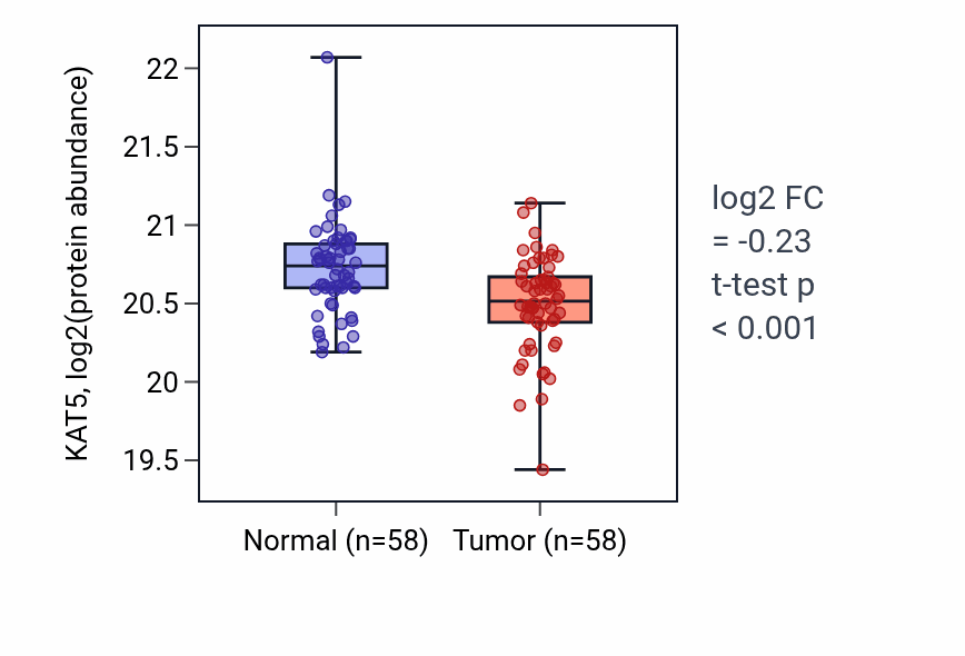 Tumor-vs-normal mass-spec protein box plot for KAT5 in HNSC.