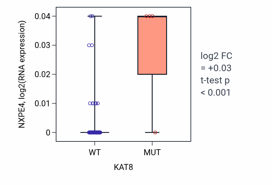 Box plot of NXPE4 in KAT8-low vs KAT8-high samples in BLOOD_Leukemia.