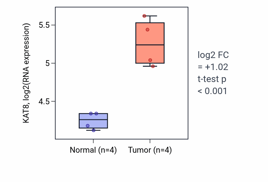 Tumor-vs-normal expression box plot for KAT8 in KIRP.
