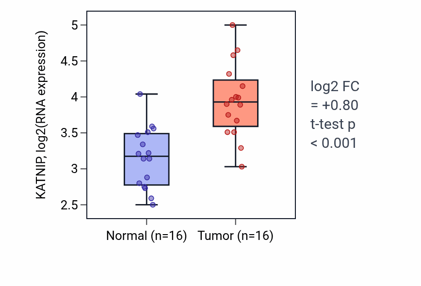 Tumor-vs-normal expression box plot for KATNIP in KIRP.