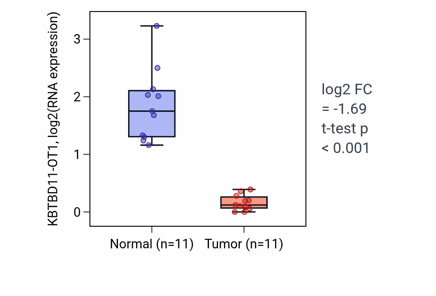 Tumor-vs-normal expression box plot for KBTBD11-OT1 in KICH.